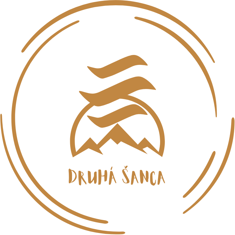 new logo ds (7)