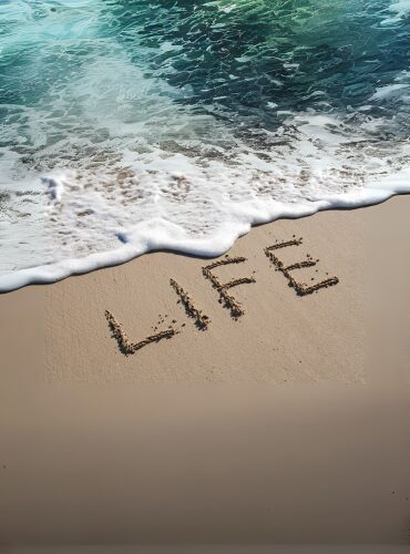 Life